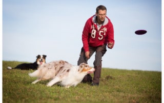 Hundetrainer Kai Hartmann - richtig mit dem Hund spielen