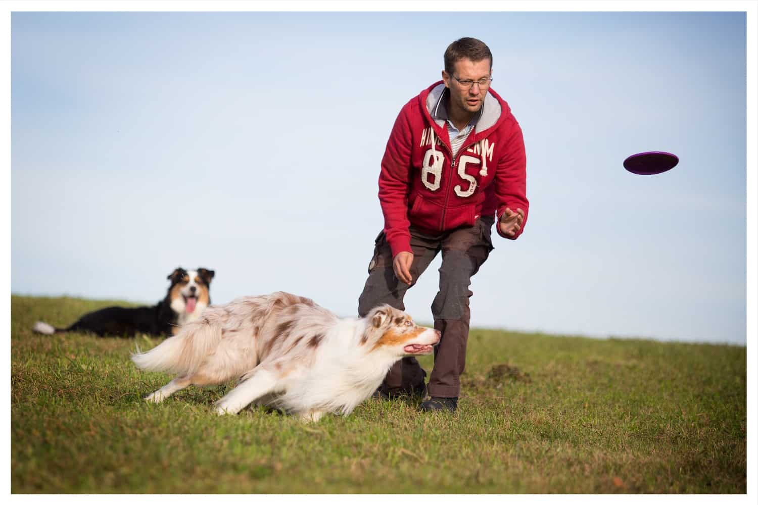 Hundetrainer Kai Hartmann - richtig mit dem Hund spielen