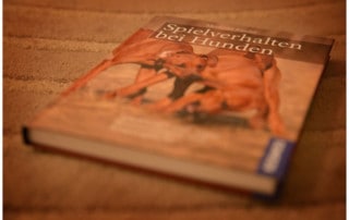 Buch Hundespiele - Kai Hartmann Hundetrainer Dresden