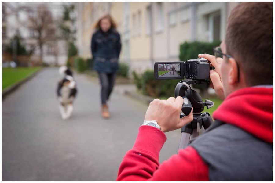 Kai Hartmann Hund mit Kamera gefilmt