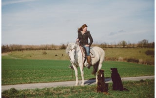 Workshop zum Reitbegleithund - Hundetrainer Kai Hartmann