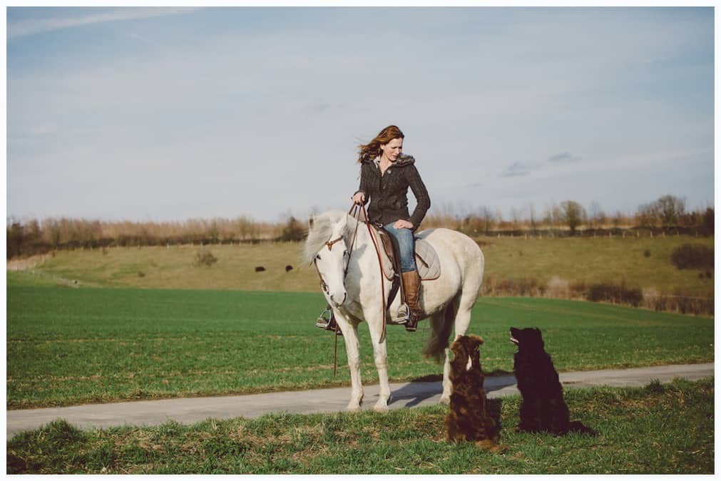 Workshop zum Reitbegleithund - Hundetrainer Kai Hartmann