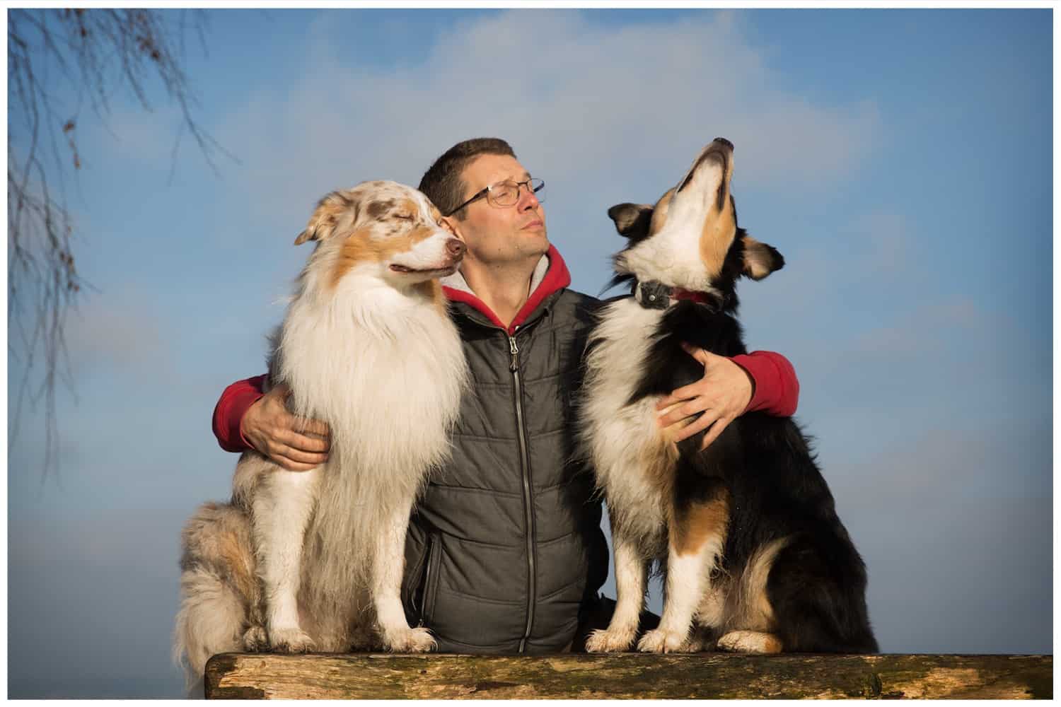 Hundeschule Dresden - Verantwortung von Hund und Mensch