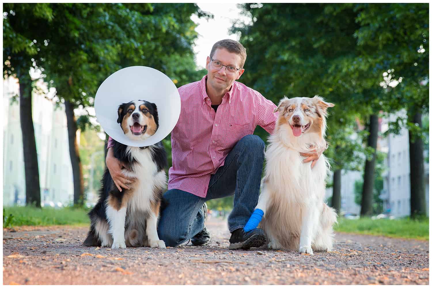 Vertrauen Hund - Mensch Hundetrainer Dresden Kai Hartmann