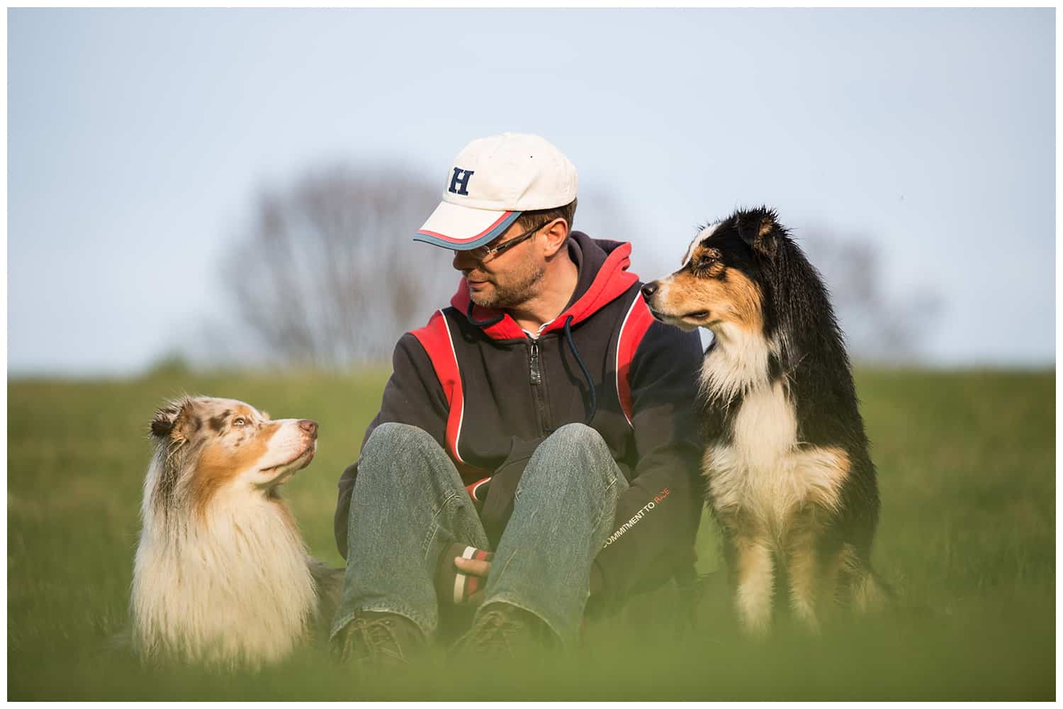 Hundeerziehung mit Kai Hartmann Hundetrainer Dresden