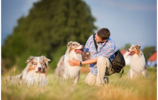 Theorien der Hundeerziehung Hundetrainer Kai Hartmann Dresden