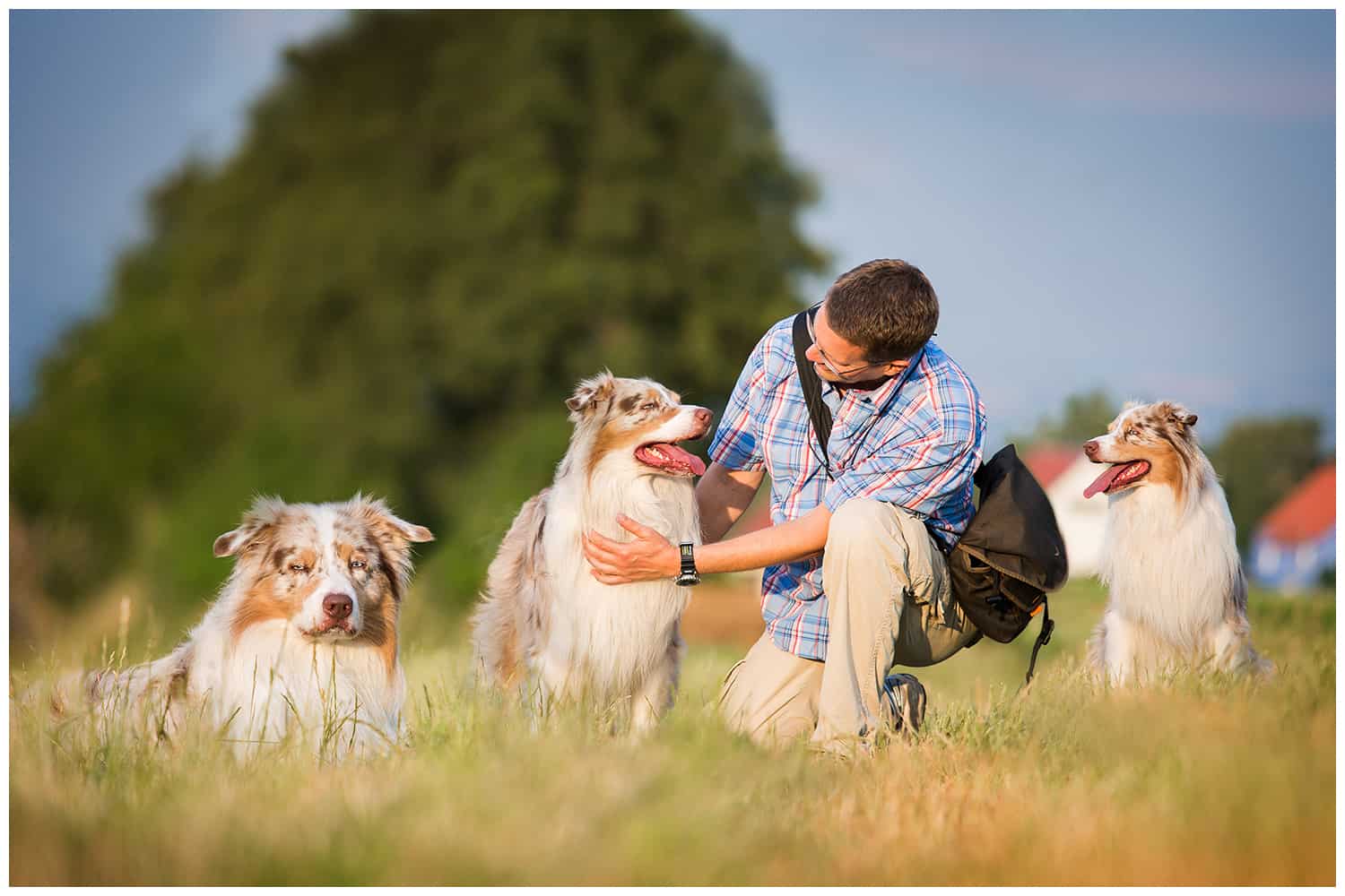 Theorien der Hundeerziehung Hundetrainer Kai Hartmann Dresden