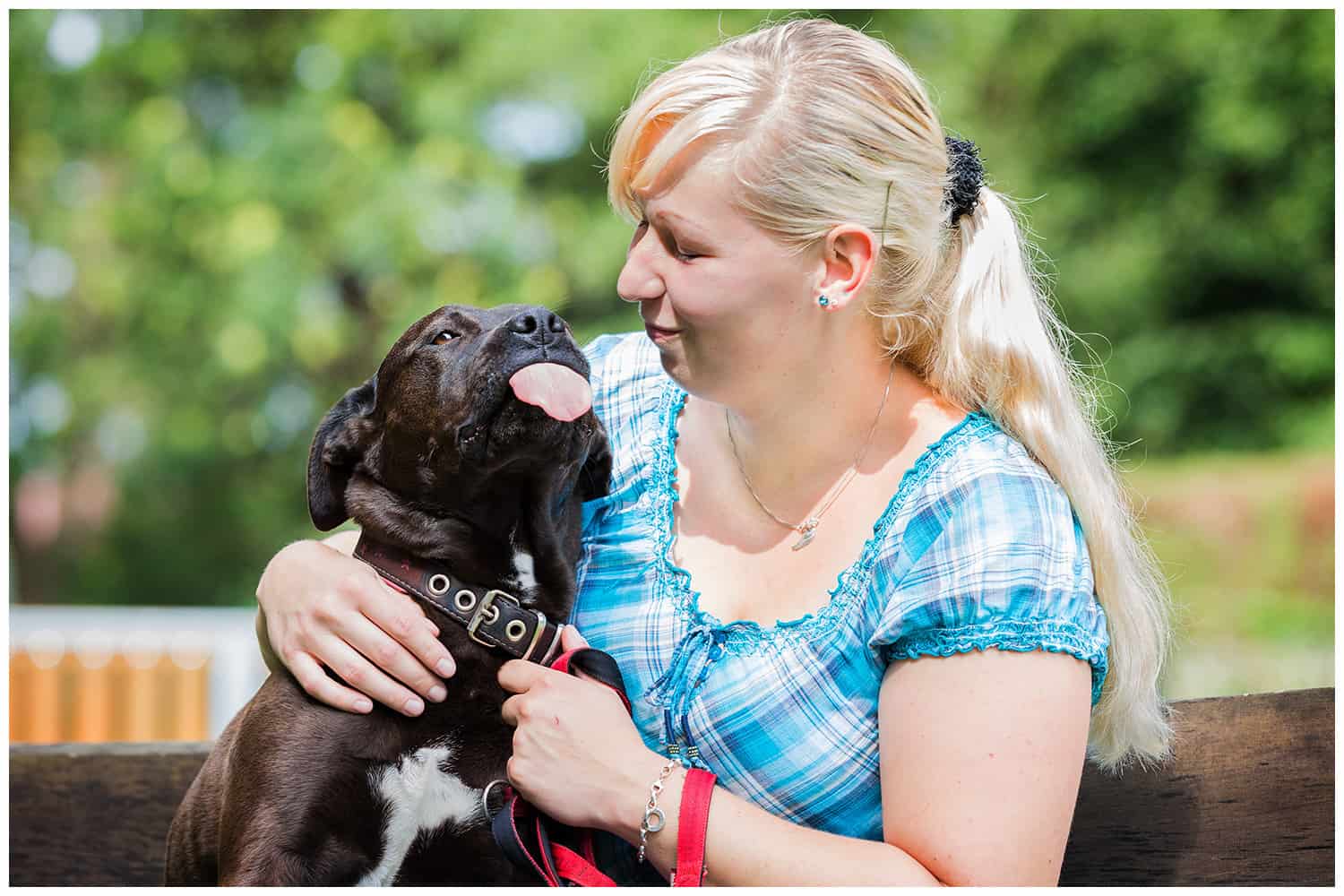 Wie funktioniert Hundeerziehung Kai Hartmann Hundetrainer Dresden