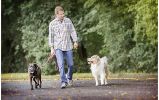 Hundetrainereffekt Hundeschule in Dresden