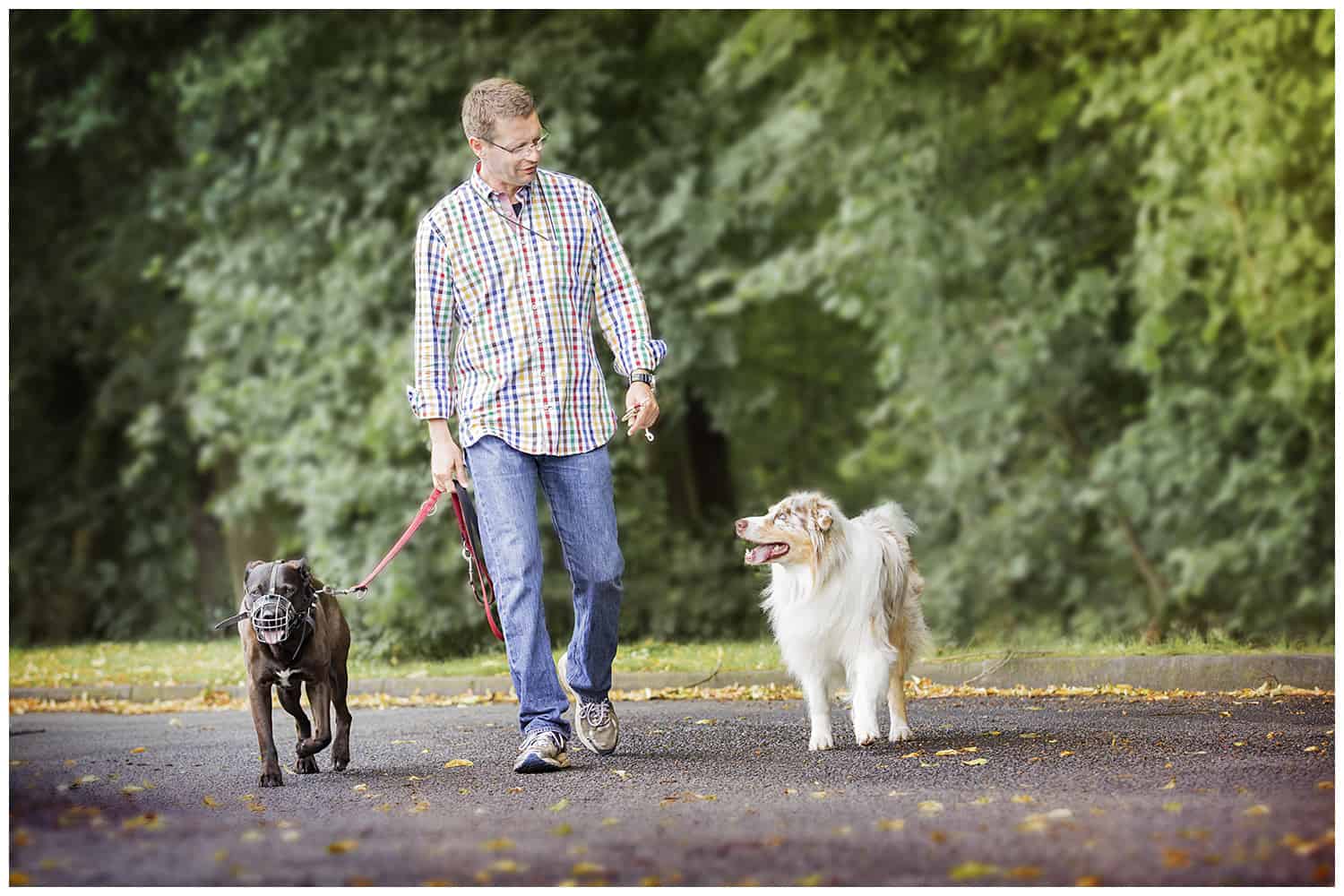 Hundetrainereffekt Hundeschule in Dresden