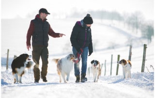 5er Basis in 12 Wochen Hundeerziehung Hundeschule Dresden Kai Hartmann