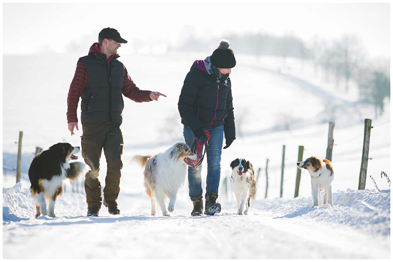 5er Basis in 12 Wochen Hundeerziehung Hundeschule Dresden Kai Hartmann