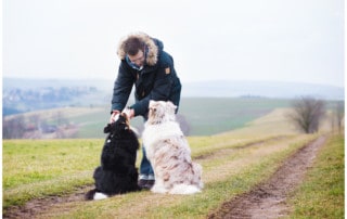 Anerkennung der Hundepersönlichkeit Kai Hartmann Hundetrainer Hundeschule