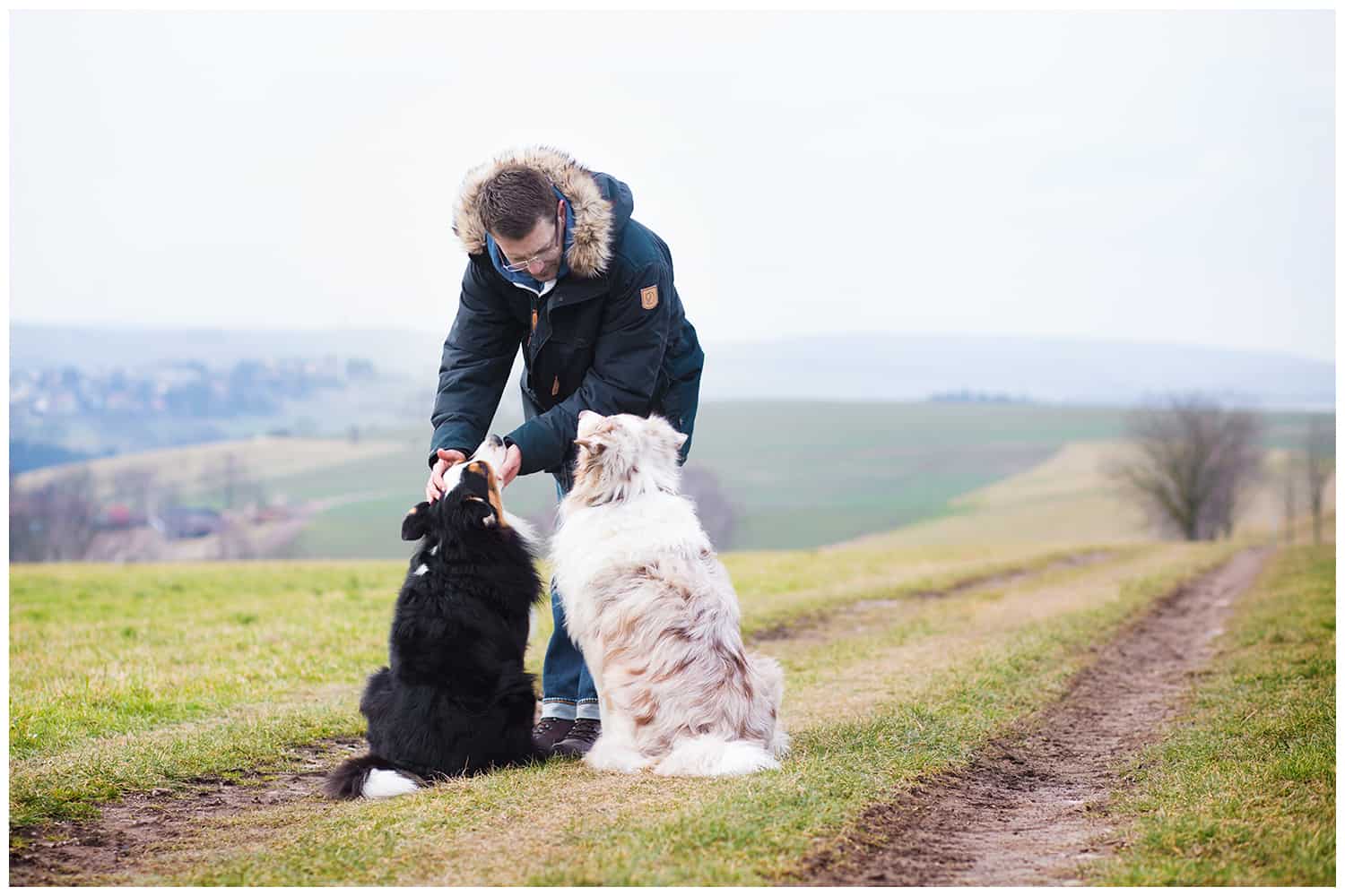 Anerkennung der Hundepersönlichkeit Kai Hartmann Hundetrainer Hundeschule