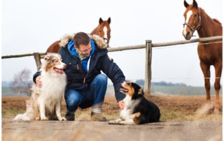 Erziehungshilfen Hundetrainer Hundeschule Kai Hartmann Dresden