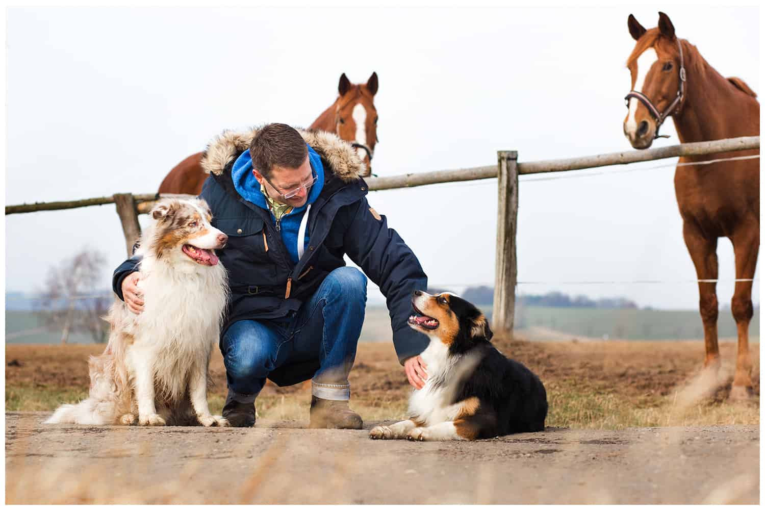 Erziehungshilfen Hundetrainer Hundeschule Kai Hartmann Dresden