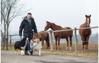 Leinenführigkeit beim Hund Kai Hartmann Hundetrainer Hundeschule Dresden