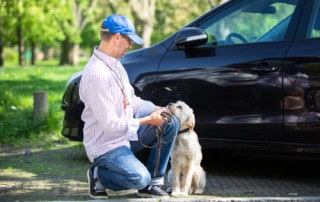 Hund umerzeihen Kai Hartmann