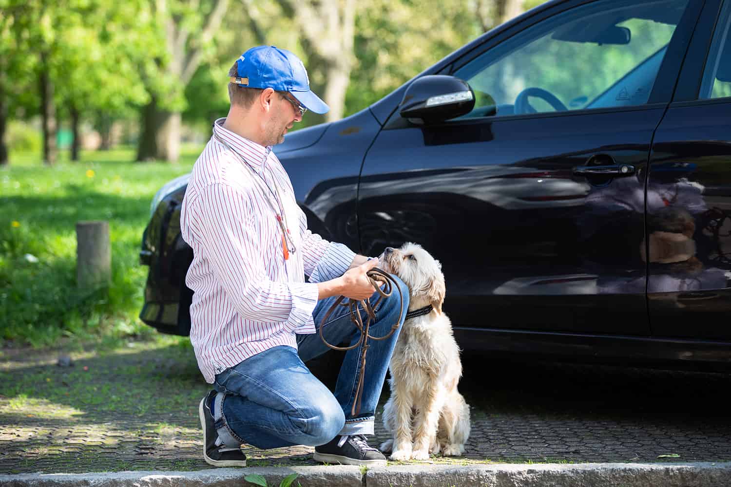 Hund umerzeihen Kai Hartmann