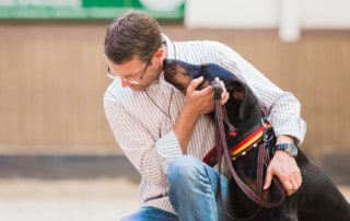 Was treibt den Hund an? Kai Hartmann Dresden