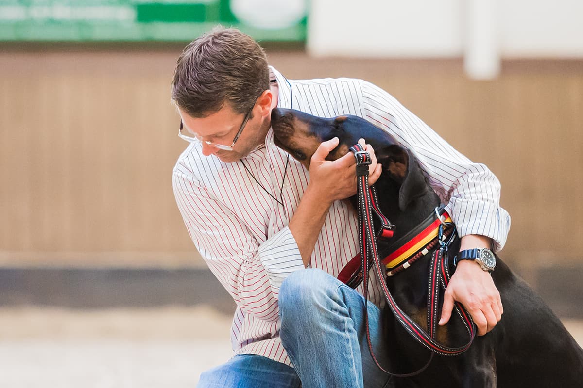 Was treibt den Hund an? Kai Hartmann Dresden