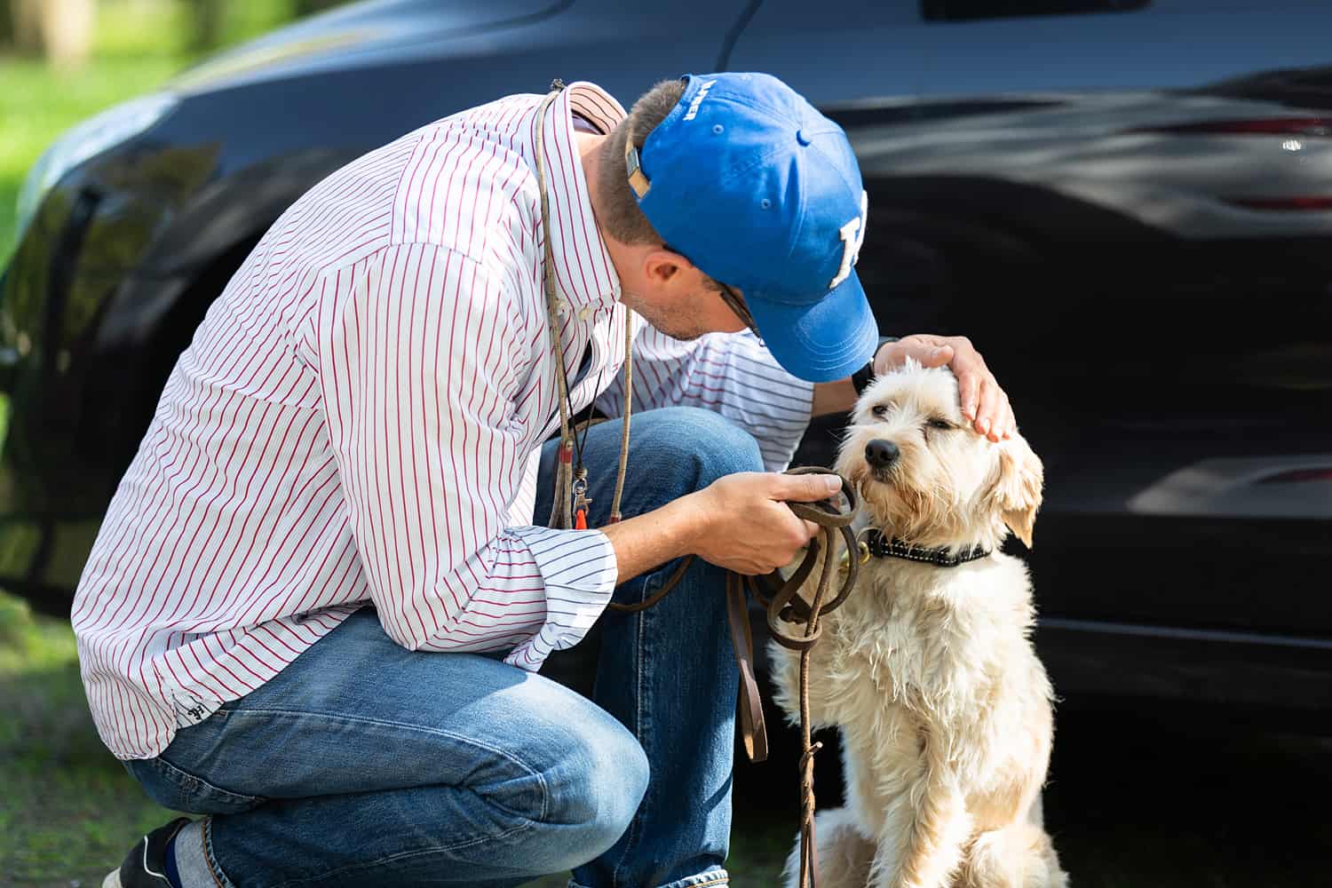 So Loben Sie ihren Hund richtig