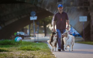 Gassirunde zum Glück Kai Hartmann Hundetrainer Dresden