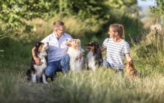 Gemeinsamkeiten-Mensch-und-Hund-Vermenschlichung-Hund-Hundetrainer-Hundeschule-Dresden-Kai-hartmann