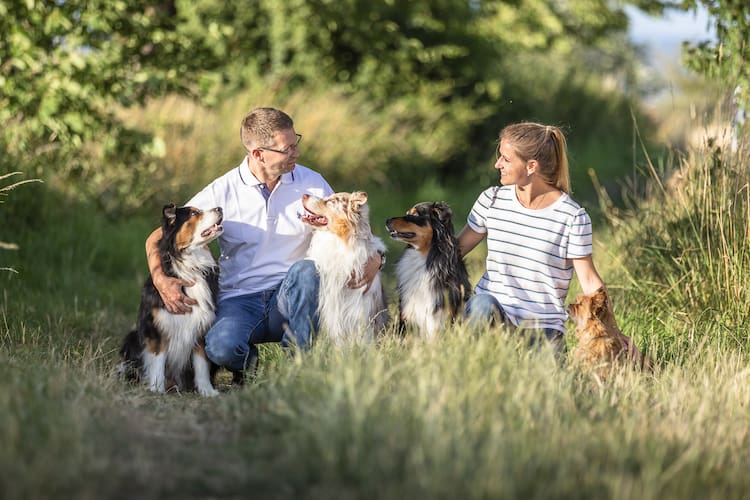 Gemeinsamkeiten-Mensch-und-Hund-Vermenschlichung-Hund-Hundetrainer-Hundeschule-Dresden-Kai-hartmann