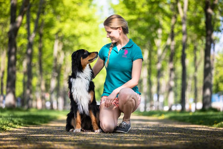 Hundetrainer-Dresden-Kai-Hartmann-Leckerli-oder-Lob