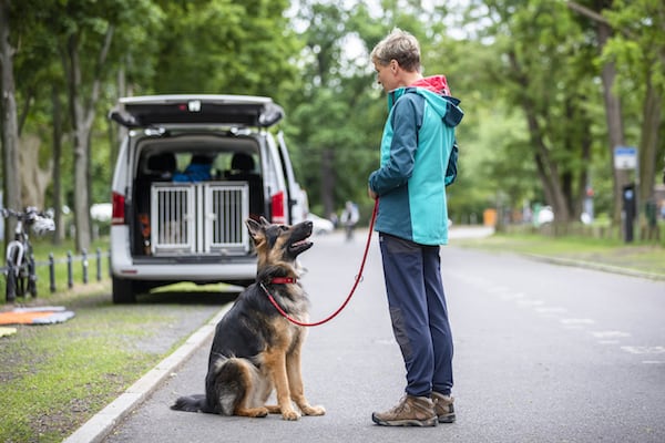 Hundeerziehung-in-5-Tagen-Hundeschule-Hundetrainer-Dresden-Kai-Hartmann-nancy-Wendler