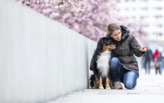 Wie erzieht man einen Hund? Hundetrainer Hundeschule Dresden Kai Hartmann nancy Wendler