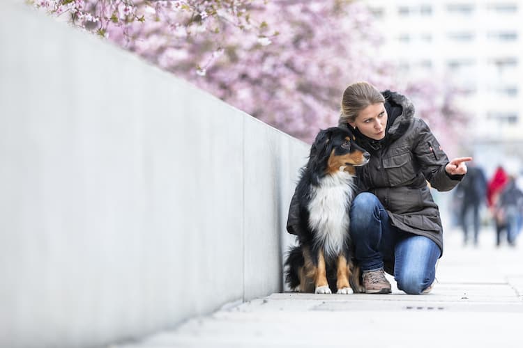 Wie erzieht man einen Hund? Hundetrainer Hundeschule Dresden Kai Hartmann nancy Wendler