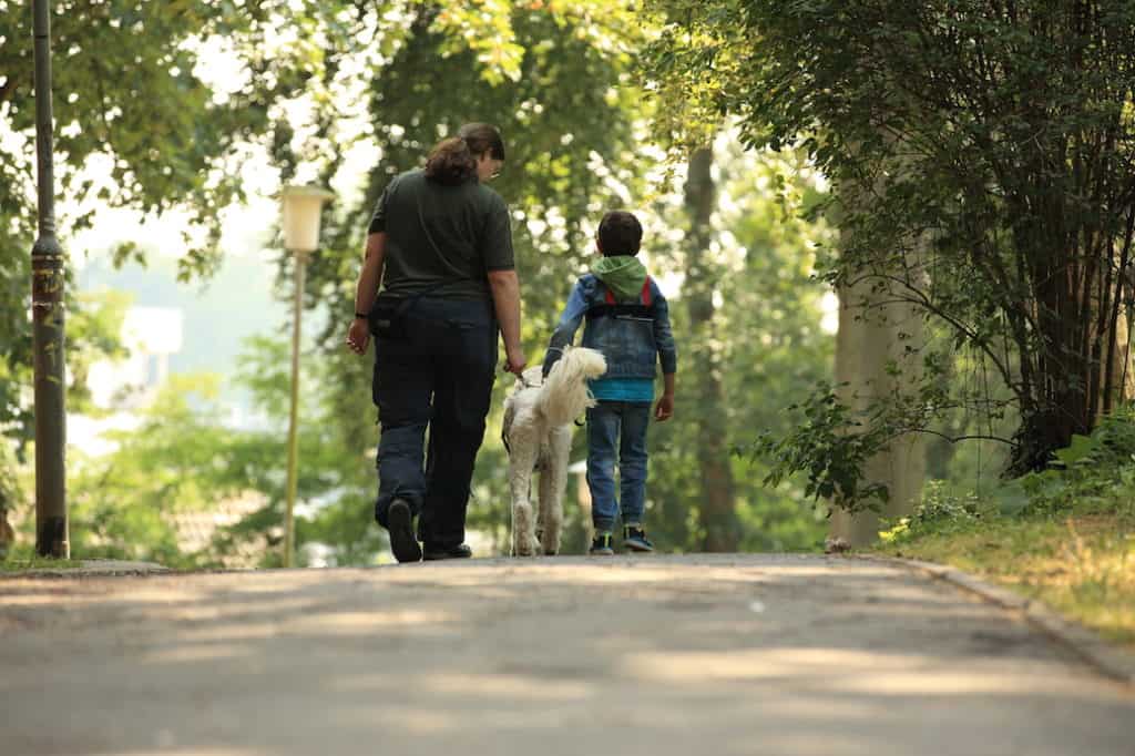 Assistenzhundeausbildung Dresden Kai Hartmann