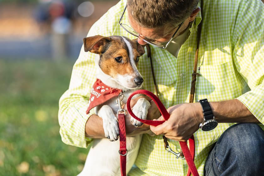 Hundetrainer Hundeschule Dresden Kai Hartmann Hundeerziehung Hundetraining Hundeleine