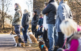 Keine Zeit für eine Hundeschule