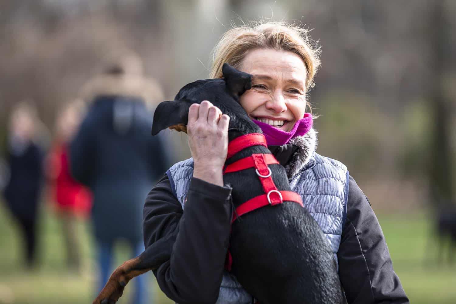 Hundetrainer Hundeschule Dresden Kai Hartmann was braucht der Hund