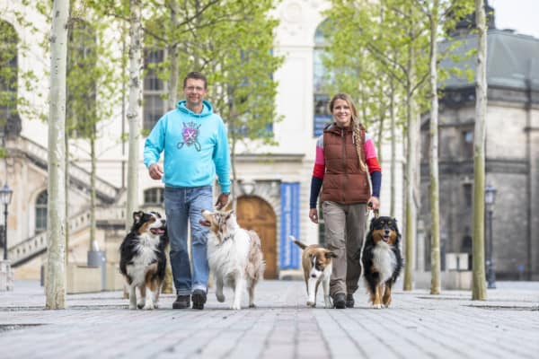 In der Hundeschule Dresden mit der 5er Basis zum Erfolg