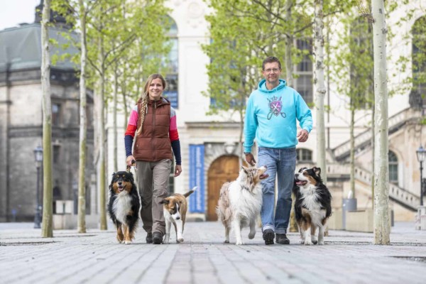 In der Hundeschule Dresden mit der 5er Basis zum Erfolg e1595178578240