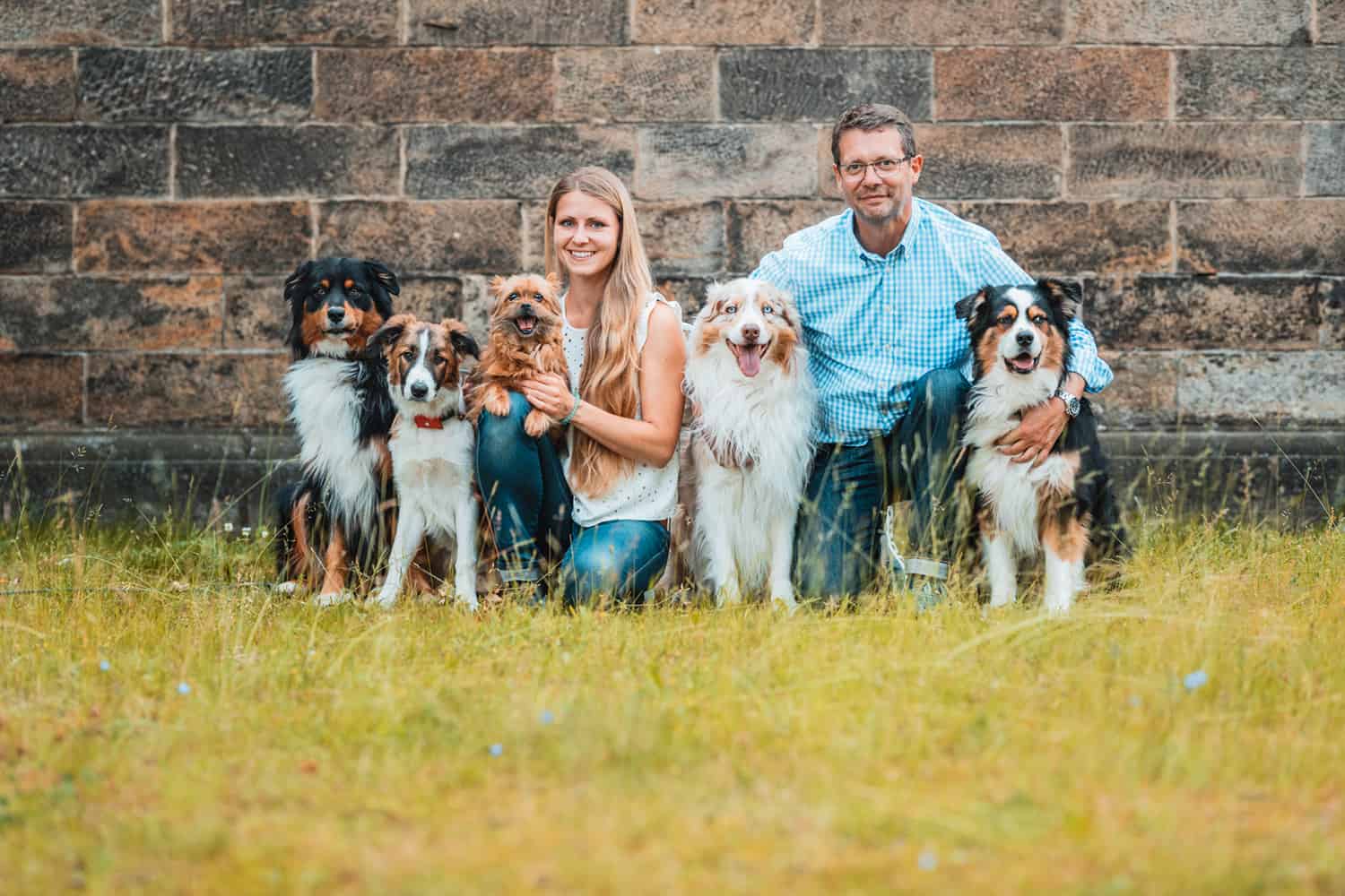 Hundeschule Dresden Fokus Blick Augenmerk Hundetrainer Dresden