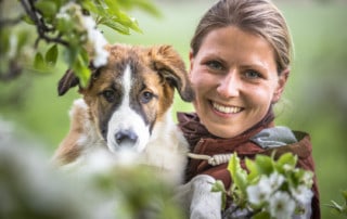 Hundeschule Dresden Werde zum Meister