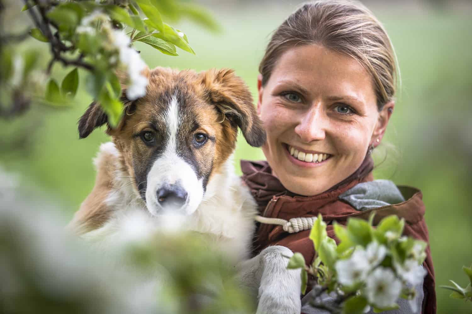 Hundeschule Dresden Werde zum Meister