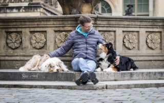 Hundeschule Dresden versagt, finde deine Vielleichts