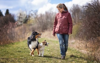 Ausrutscher in der Hundeerziehung