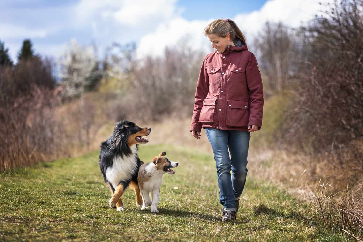 Ausrutscher in der Hundeerziehung