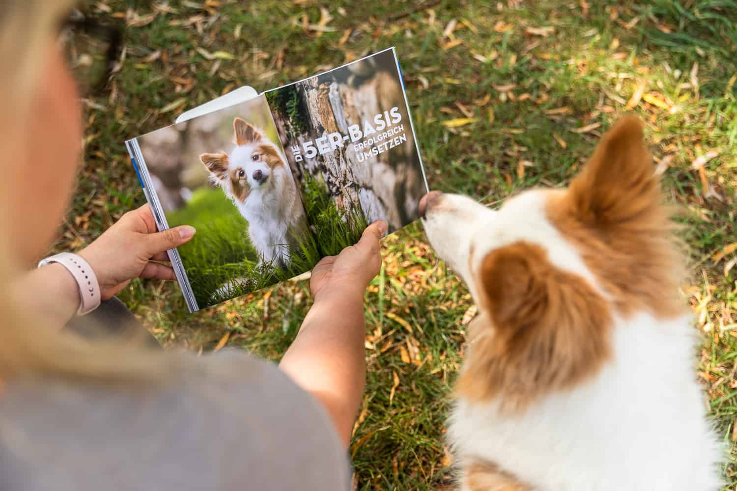 Hundeschule Dresden 5er-Basis