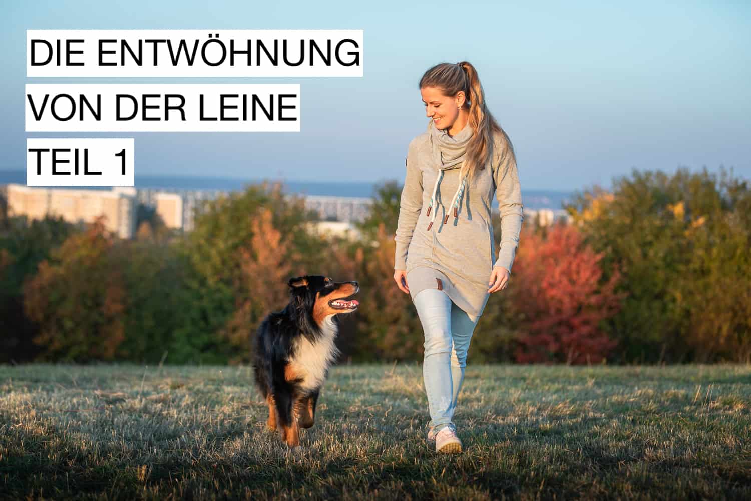 5er-Basis gehen ohne Leine Leinenführigkeit Hundeschule Hundetrainer Dresden