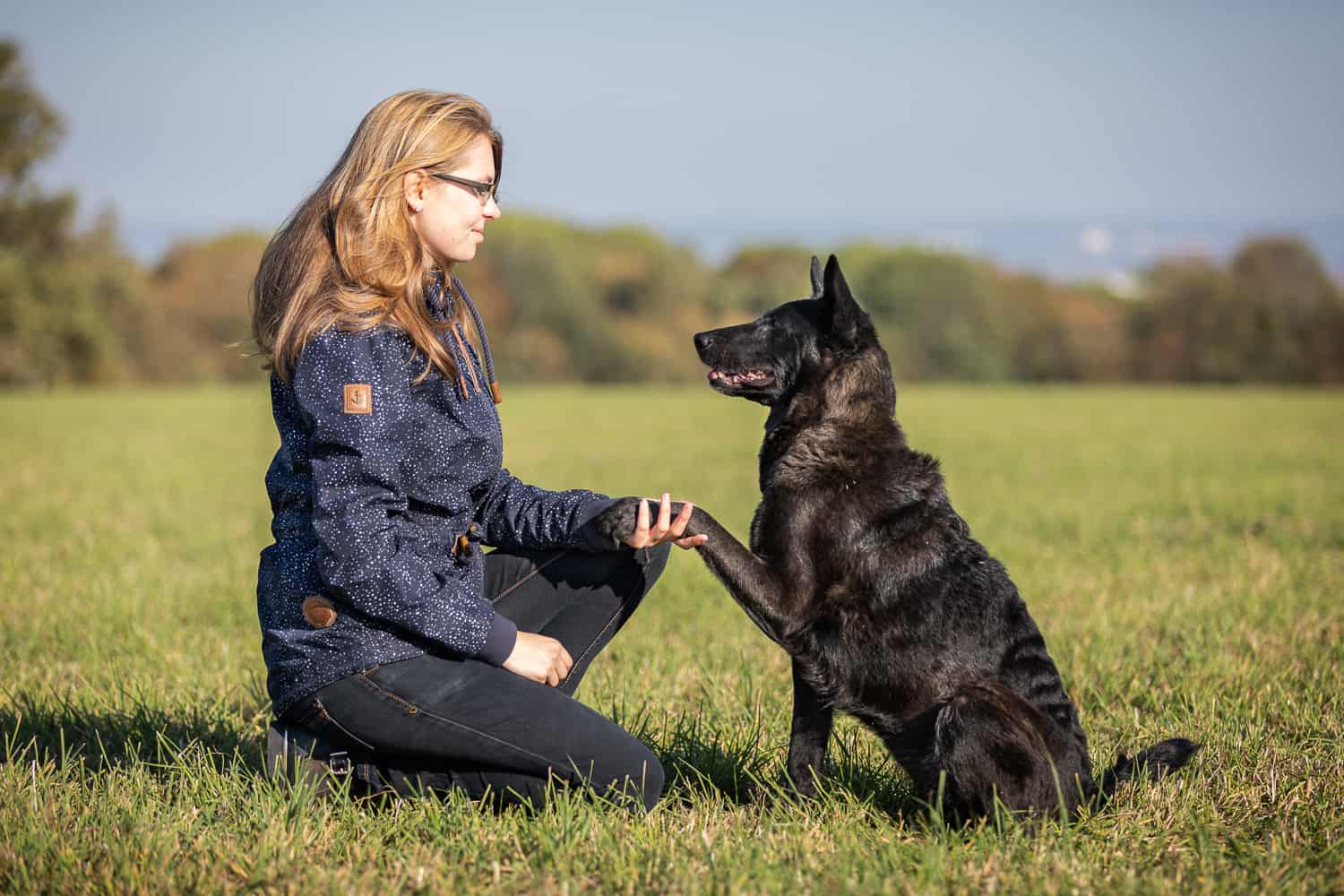 Das Feine Führen nach der 5er-Basis Hundetrainer Dresden