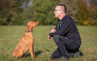 Das Richtige tun Keine Zeit haben ist Quatsch Jeden Tag hast du einige wunderbare Dates. Du hast Verabredungen mit deinem Hund und ihr geht gemeinsam eine Runde durch die Welt. Dafür nimmst du dir Zeit. Also hast du ja schon mal Zeit und diese investierst du in gemeinsame Unternehmungen mit deinem Hund. Wunderbar! Das Richtige Jetzt habe ich in einem Facebook-Artikel geschrieben, wenn du dir diese Zeit schon nimmst, dann tu doch gleich das Richtige. Doch, was ist nun das Richtige? Angeblich gibt es doch kein Richtig und kein Falsch. Jeder Mensch ist anderes und jeder Hund auch. Was für den Einen passt, ist für den Anderen ein Fluch, oder umgekehrt. Genauso ist es und da lässt sich eben kein Einheitsdeckel drüber stülpen. Da hin, wo es weh tut Was ich damit meine ist: begib dich dahin, wo es im sozialen Miteinander noch nicht harmonisch läuft. Haut dein Hund dir immer ab und geht auf Taubenjagd, dann arbeite genau daran und lass ihn nicht weiterhin Tauben jagen. Tauben jagen kann er ja schon, also tu alles dafür, dass er sie nicht mehr jagt. Natürlich nur, wenn dir das wichtig ist. Hört dein Hund nicht, also hört er dir nicht zu, dann ist das der Punkt, den du mit ihm besprechen solltest. Nicht hören, also nicht zuhören kann er ja schon. Gerade die unmittelbare Reaktion auf seinen Namen, ist die wichtige Basis, für alles was dann noch kommt. Reagiert er nicht auf seinem Namen, hört er dir nicht zu? Einem Hund, der dir nicht zuhört, wirst du nichts – aber auch überhaupt nichts – vermitteln können. Ist dein Hund ein Freigeist und entfernt er sich immer zu weit von dir und richtet in dieser Entfernung dann auch noch Unheil an, dann ist das genau das Richtige was du tun kannst. Nämlich mit ihm gemeinsam daran zu arbeiten, dass er bei dir bleibt. Das er mit dir gemeinsam geht und das du festlegst, wann er sich wie weit entfernen kann. Das ist das Richtige Aus meiner Sicht ist das genau das Richtige, wo du dich noch nicht wohl fühlst. Da wo es gut geht, da hast du ja schon deine Wohlfühlzone erreicht und die kannst du viel leichter erhalten, als das zu verändern, wo es weh tut. Doch genau da musst du hin, damit sich dein Bereich der Wohlfühlzone erweitert. Solche Situationen zu vermeiden ist als situative Managementmaßnahme eine schlaue Lösung. Es sollte aber kein Dauerzustand werden. Aus meiner Erfahrung dehnt sich dein Meideverhalten dann immer weiter aus, bis es dich schließlich so stark einschränkt, dass es wirklich vergeudetet Lebenszeit für Mensch und Hund produziert. Mach dir lieber einen Plan, was das Richtige für dich ist. Woran willst und musst du arbeiten? Investiere da deine gemeinsame Zeit, denn diese Zeit nimmst du dir ja sowieso schon. Alles Hat seine Zeit, alles braucht seine Zeit nimm dir deine Zeit um das Richtige zu tun! Das Richtige für dich und denen Hund, damit ihr in Harmonie gemeinsam durchs Leben geht. Herzliche Grüße Kai „Damit sich Mensch und Hund verstehen“