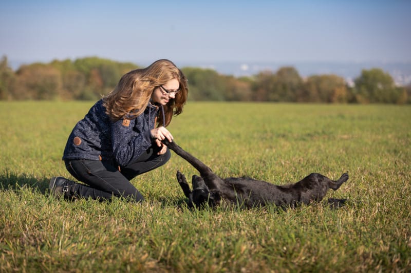 Hundeschule Dresden Das Feine Führen 5er-Basis